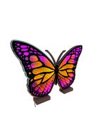 40CM BUTTERFLY INF SUNSET MULT