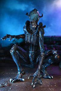 ALIENS ARACHNOID ALIEN VS PREDATOR 7" ACTION FIGURE