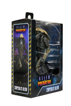 ALIENS ARACHNOID ALIEN VS PREDATOR 7" ACTION FIGURE