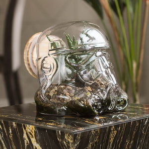 Thumbs Up! – Original Stormtrooper Cookie Jar / Terrarium