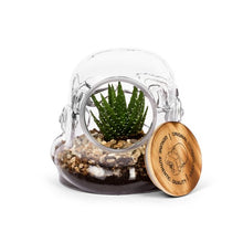 Thumbs Up! – Original Stormtrooper Cookie Jar / Terrarium