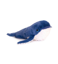 WHALE